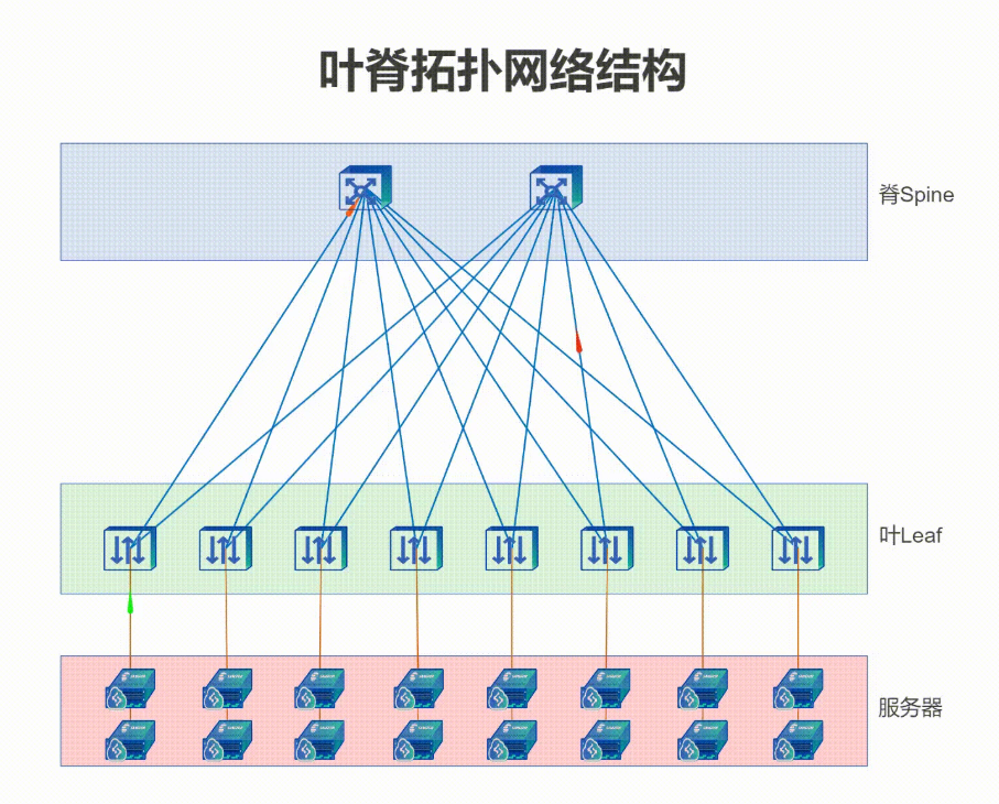 叶脊拓扑网络结构