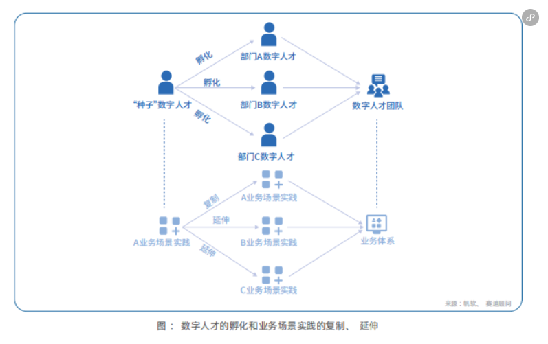 数字人才的孵化