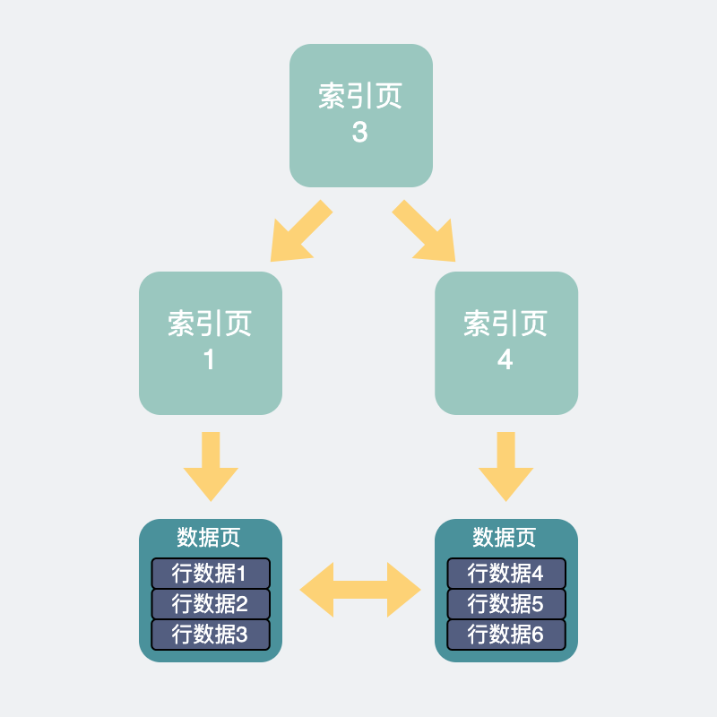 数据查询