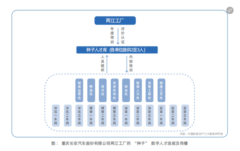 种子数字人才的选拔