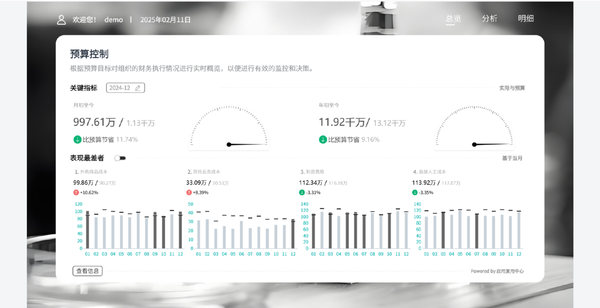 预算控制