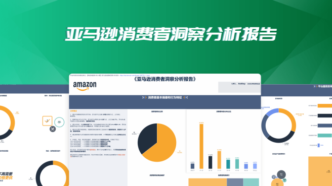 亚马逊消费者洞察分析报告