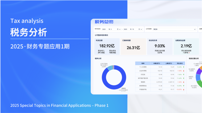 税务分析