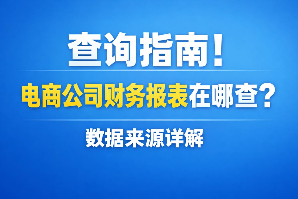查询指南！电商公司财务报表在哪查，数据来源