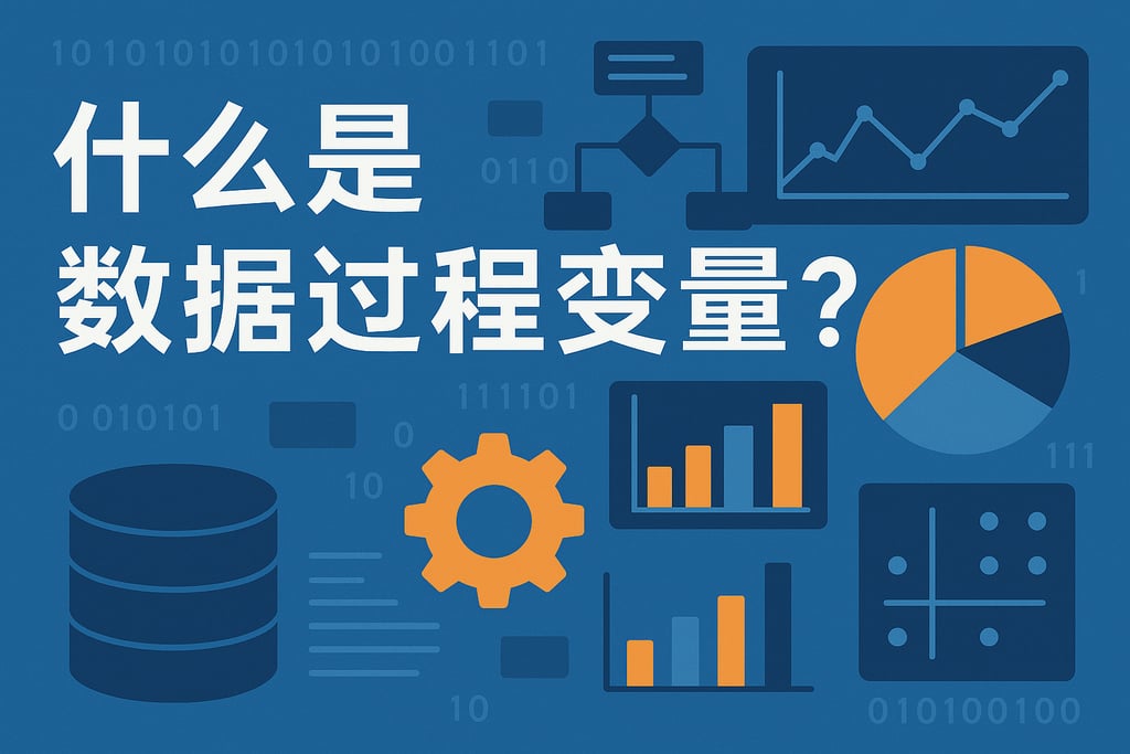 什么是数据过程变量？
