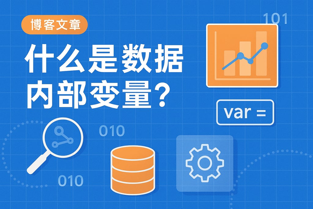 什么是数据内部变量？