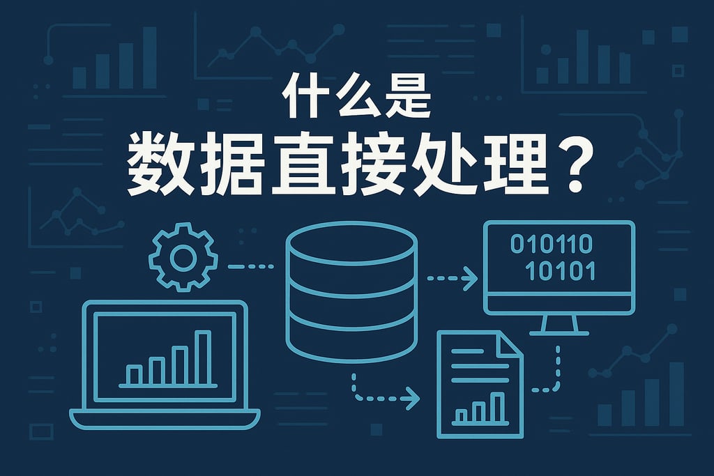 什么是数据直接处理？