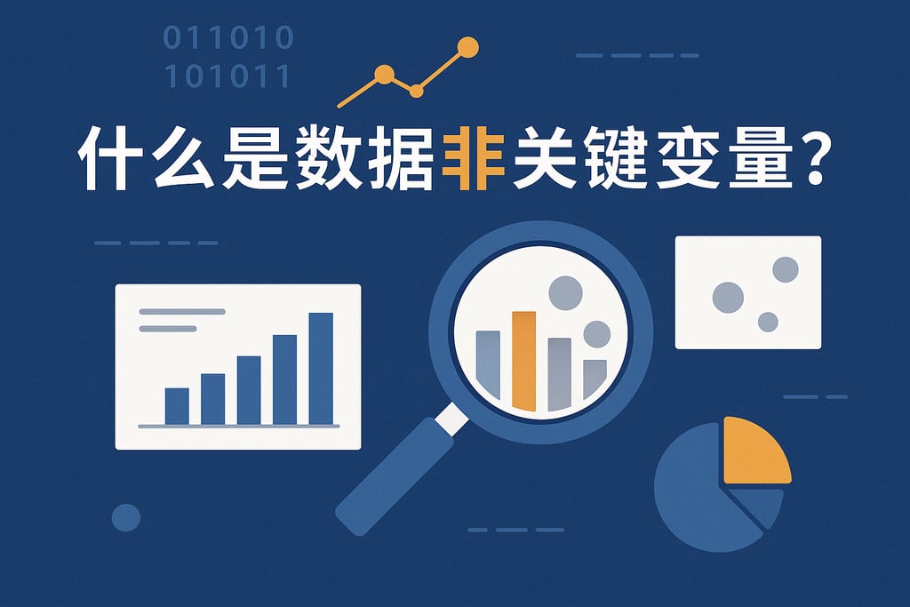 什么是数据非关键变量？