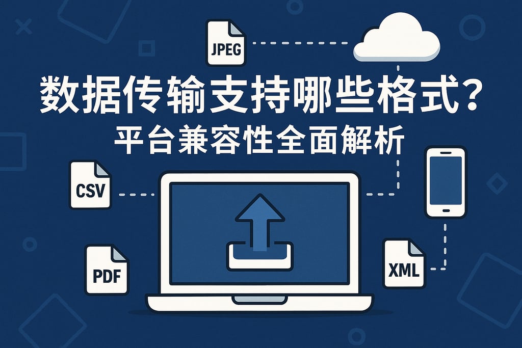 数据传输支持哪些格式？平台兼容性全面解析