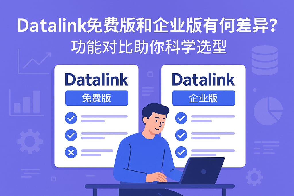 datalink免费版和企业版有何差异？功能对比助你科学选型