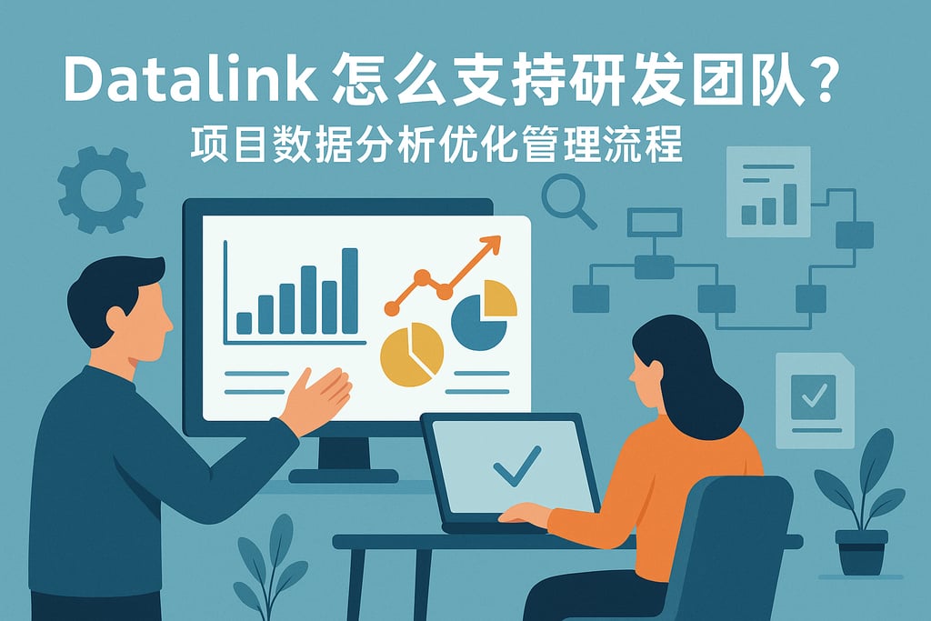 datalink怎么支持研发团队？项目数据分析优化管理流程