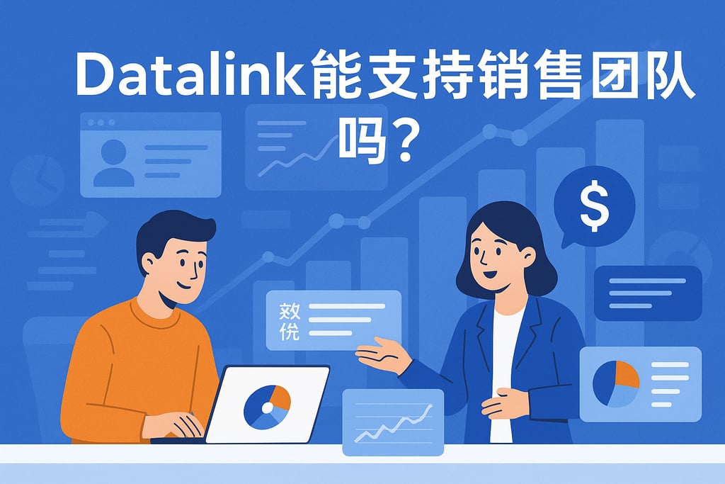 datalink能支持销售团队吗？客户数据分析优化业务流程