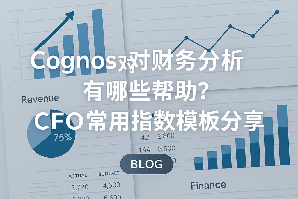 Cognos对财务分析有哪些帮助？CFO常用指标模板分享