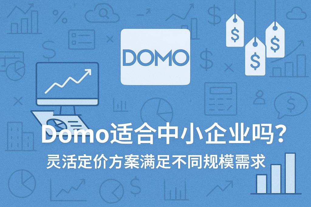 Domo适合中小企业吗？灵活定价方案满足不同规模需求