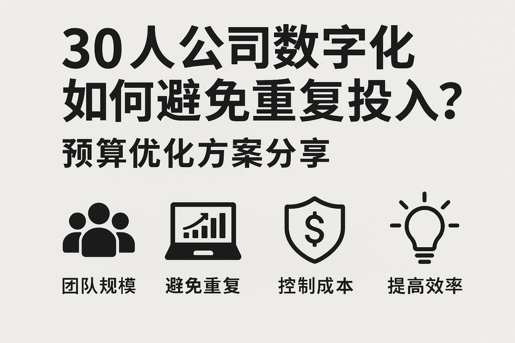 30人公司数字化如何避免重复投入？预算优化方案分享