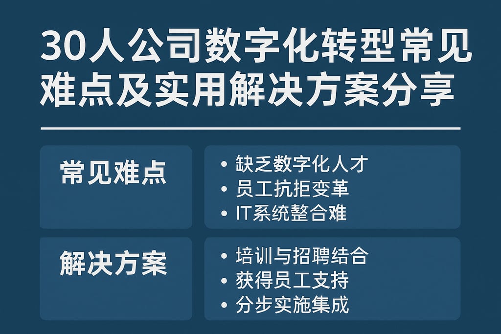 30人公司数字化转型常见难点及实用解决方案分享