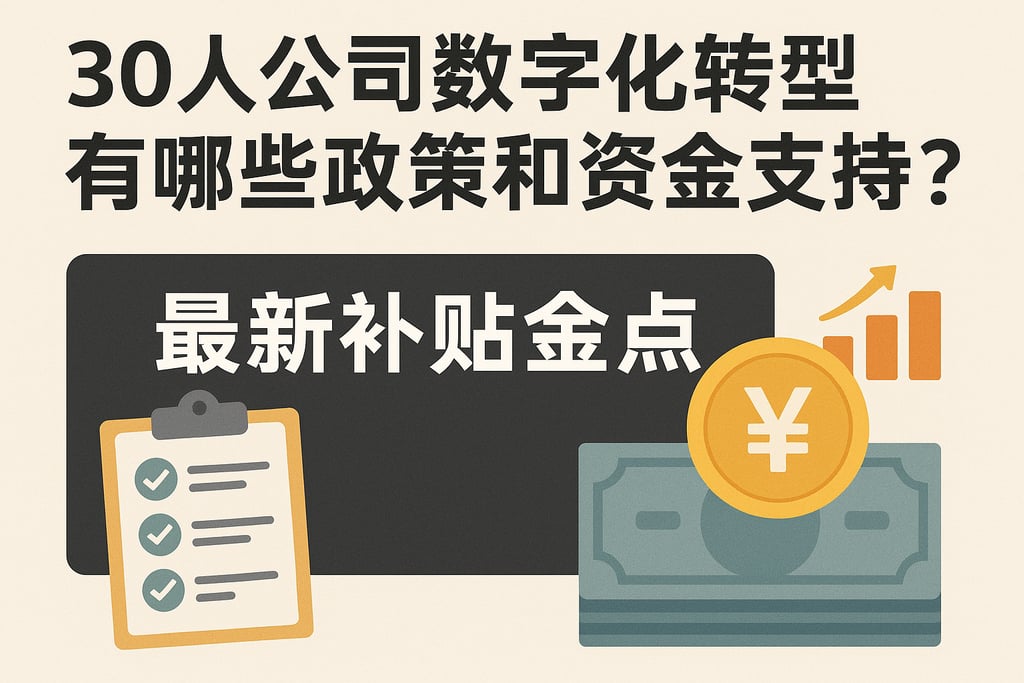 30人公司数字化转型有哪些政策和资金支持？最新补贴盘点