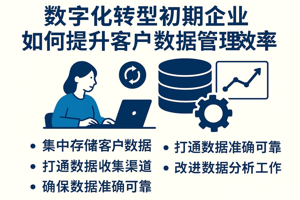 数字化转型初期企业如何提升客户数据管理效率
