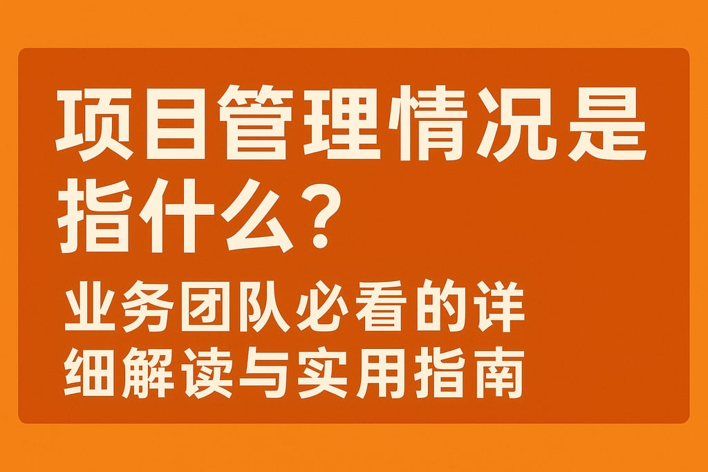 项目管理情况是指什么？业务团队必看的详细解读与实用指南