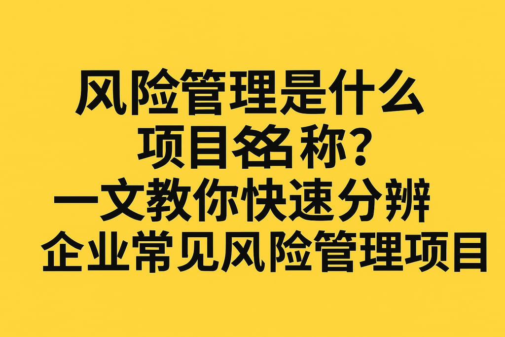 风险管理是什么项目名称？一文教你快速分辨企业常见风险管理项目